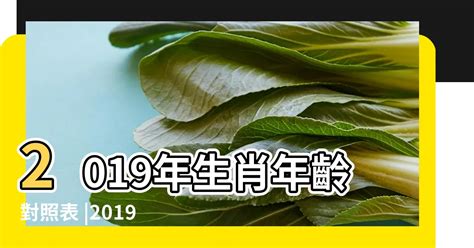 1989年生肖幾歲|1989年是民國幾年？ 年齢對照表